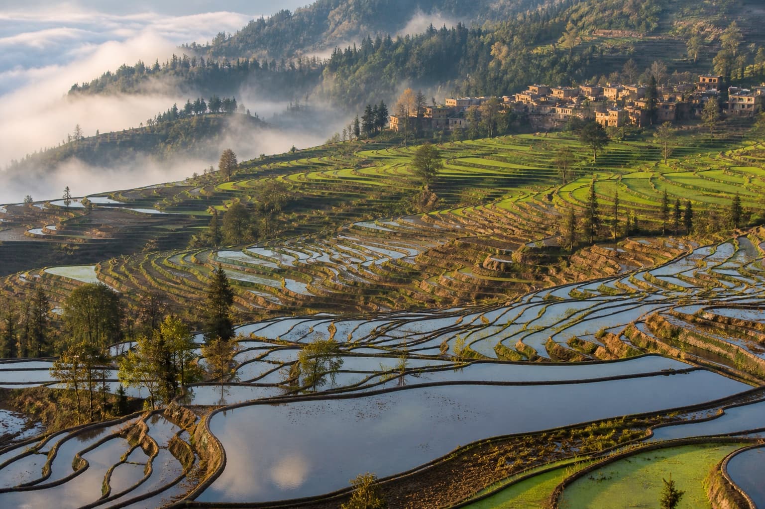 Water-filled rice terraces reflecting changing seasonal light