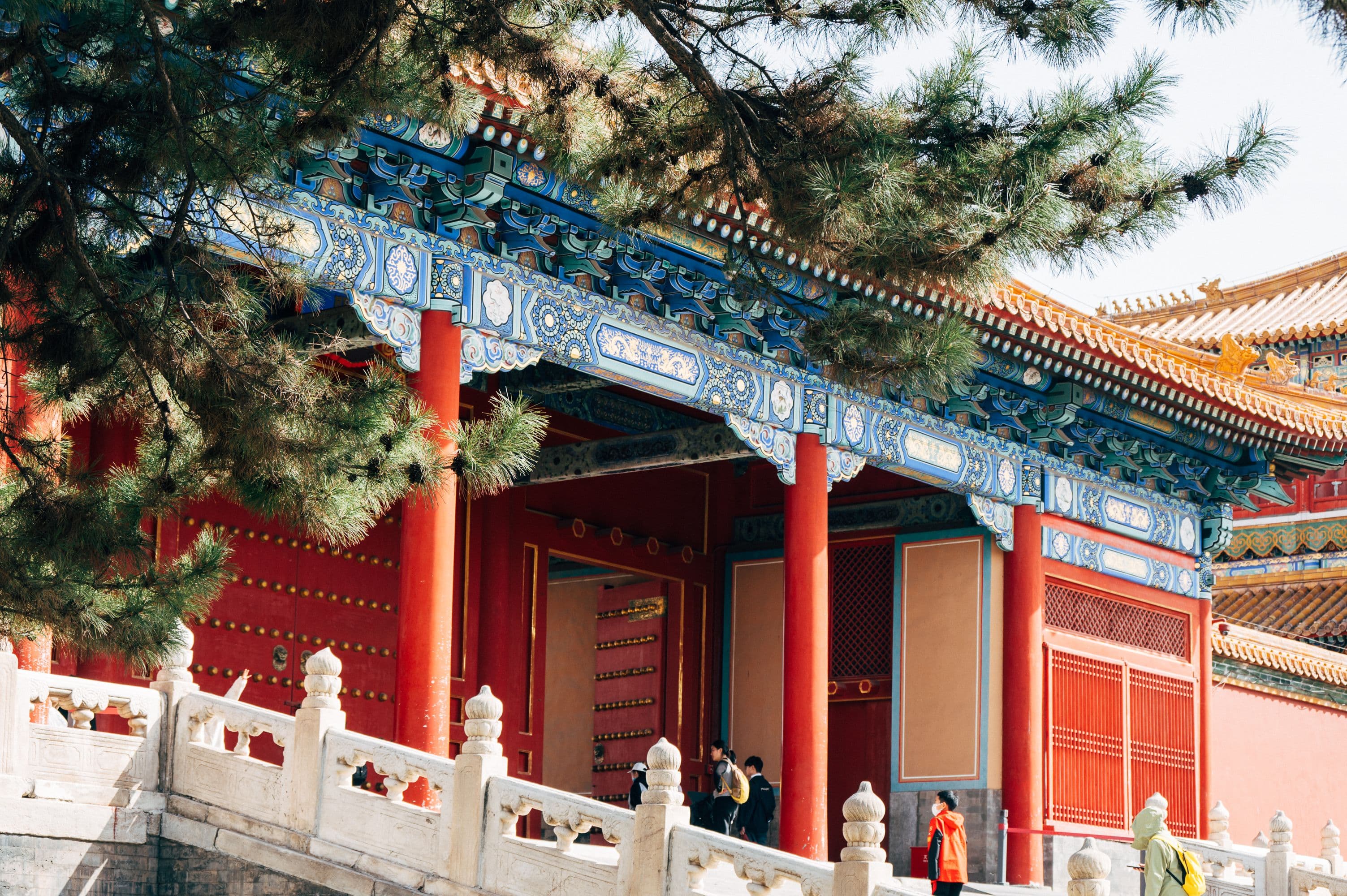 Traditional palace architecture in Beijing beneath pine trees