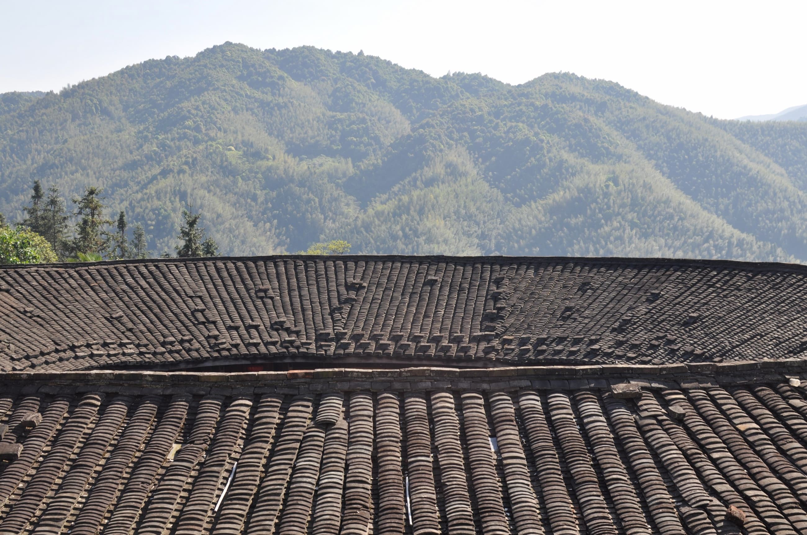 Close detail of traditional roof tiles