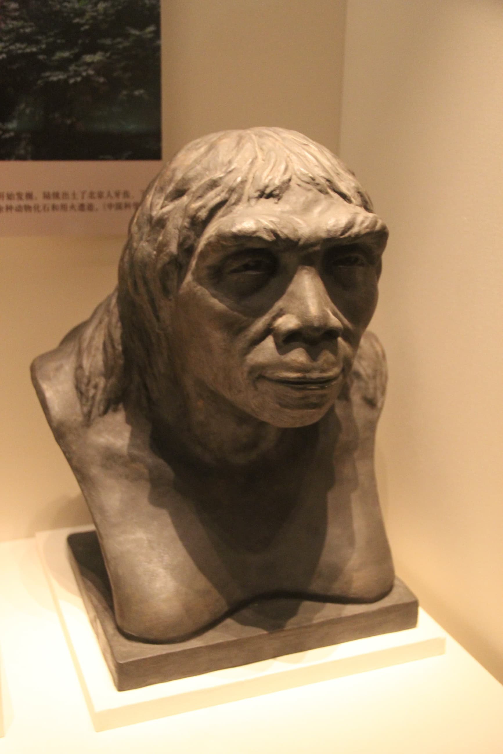 Modern artistic reconstruction of Peking Man