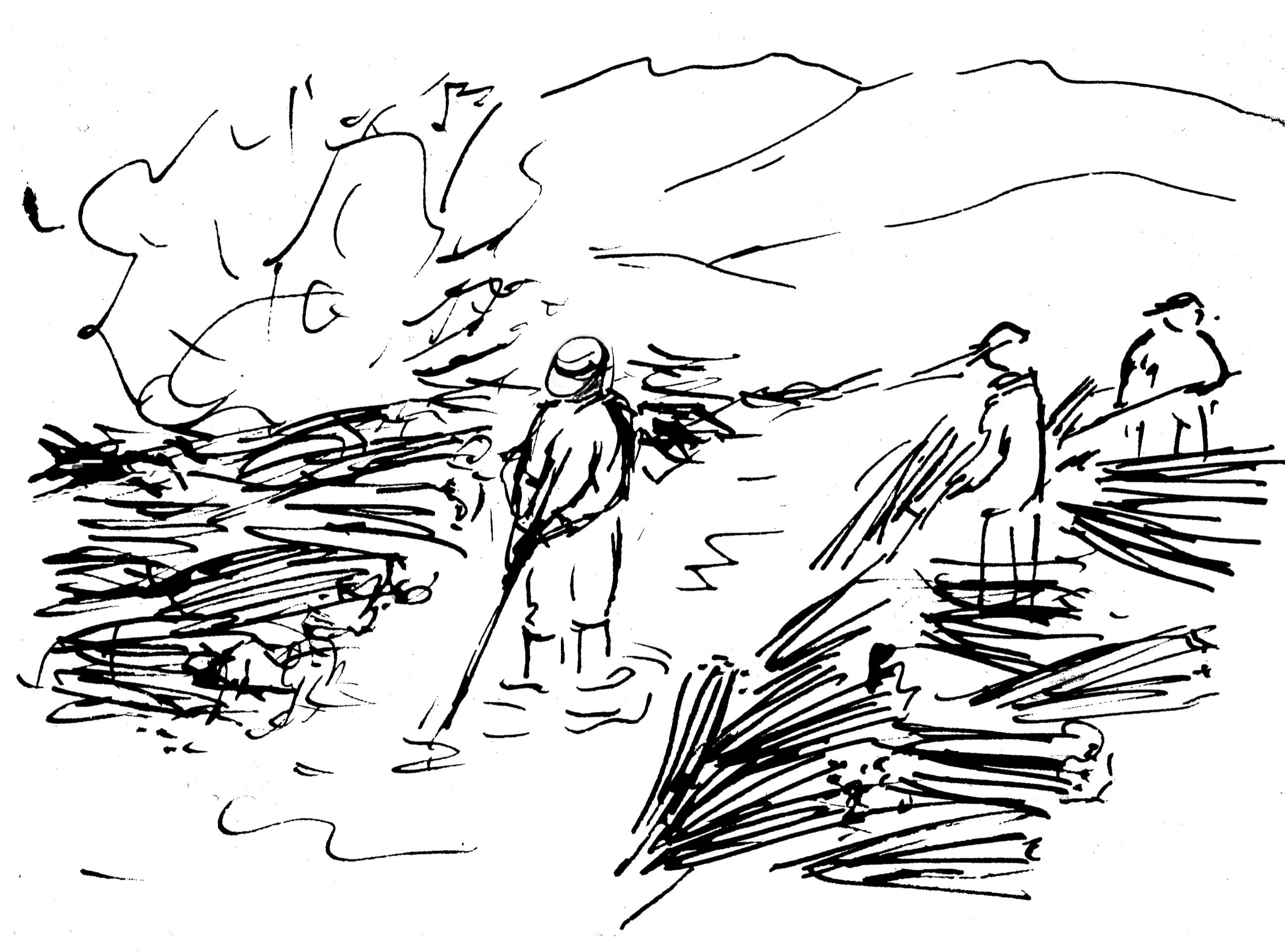 Illustrated bark-soaking stage