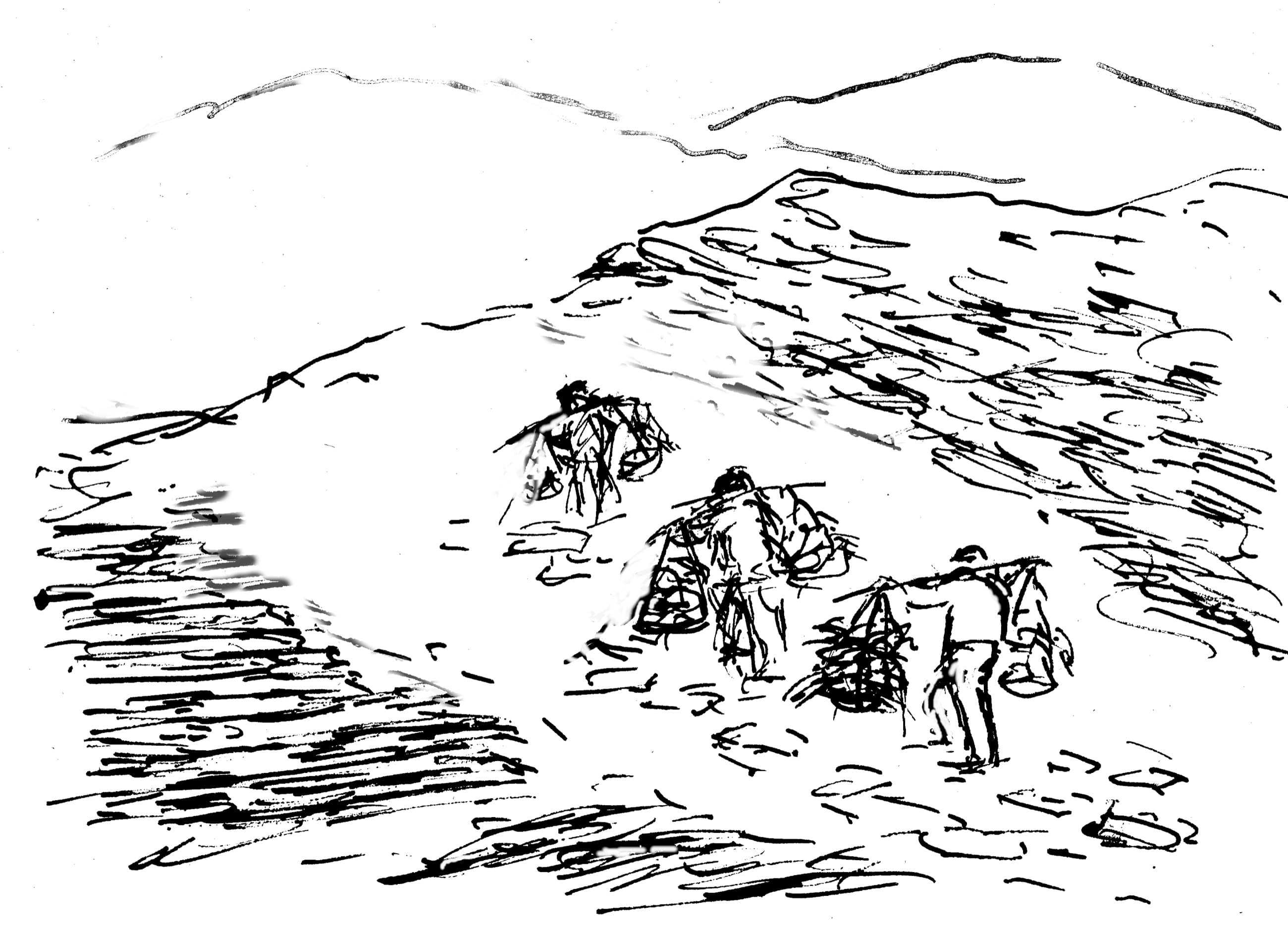 Illustration of fibre transport