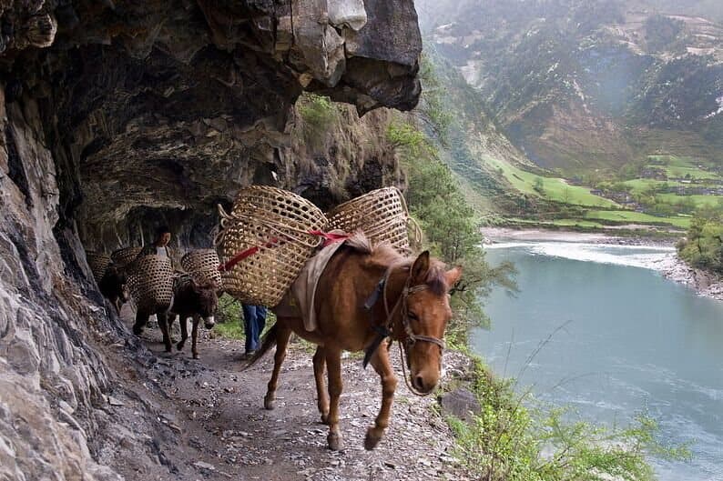Ancient Tea Horse Road — pack animals following a cliffside trail