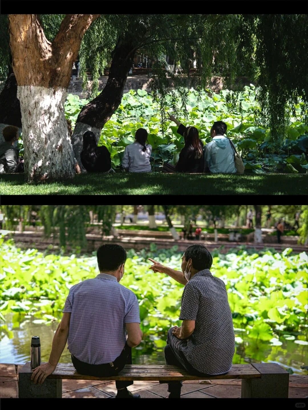 Green Lake Kunming — residents resting beside the lotus pond