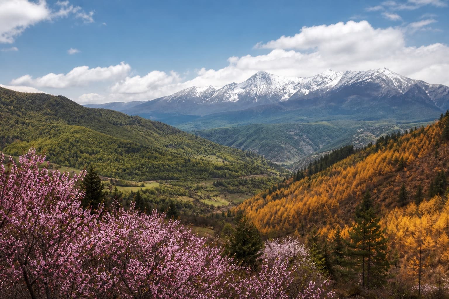 Best Time to Visit Yunnan