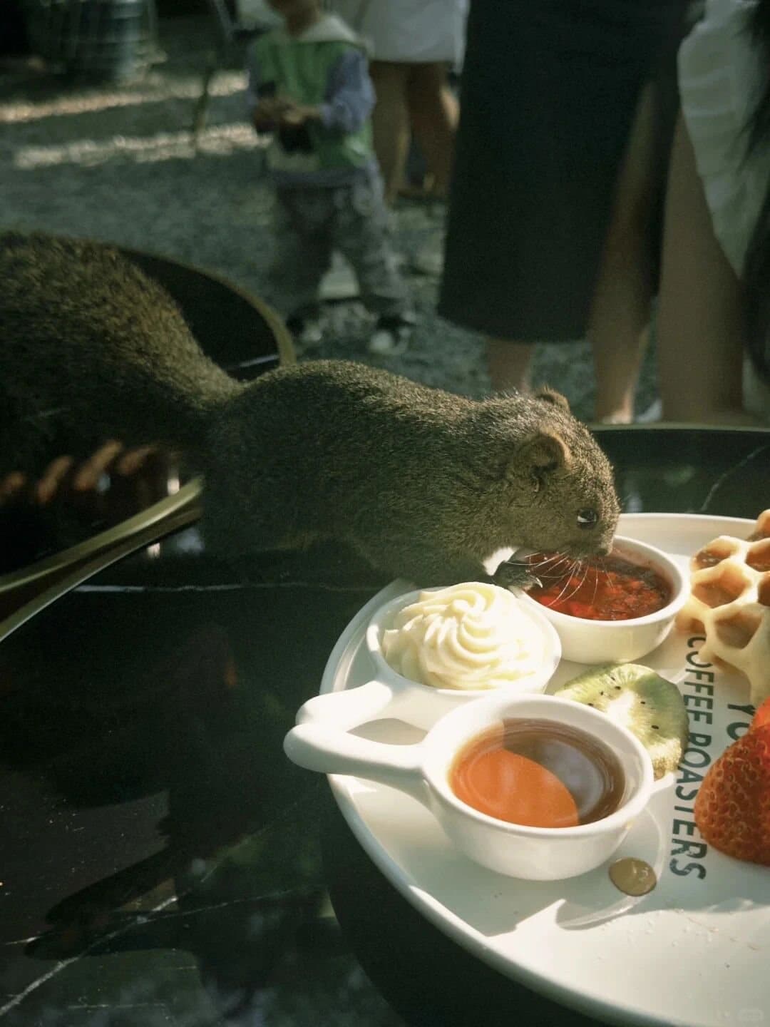 Green Lake Kunming — a tea table set beneath the trees near Green Lake