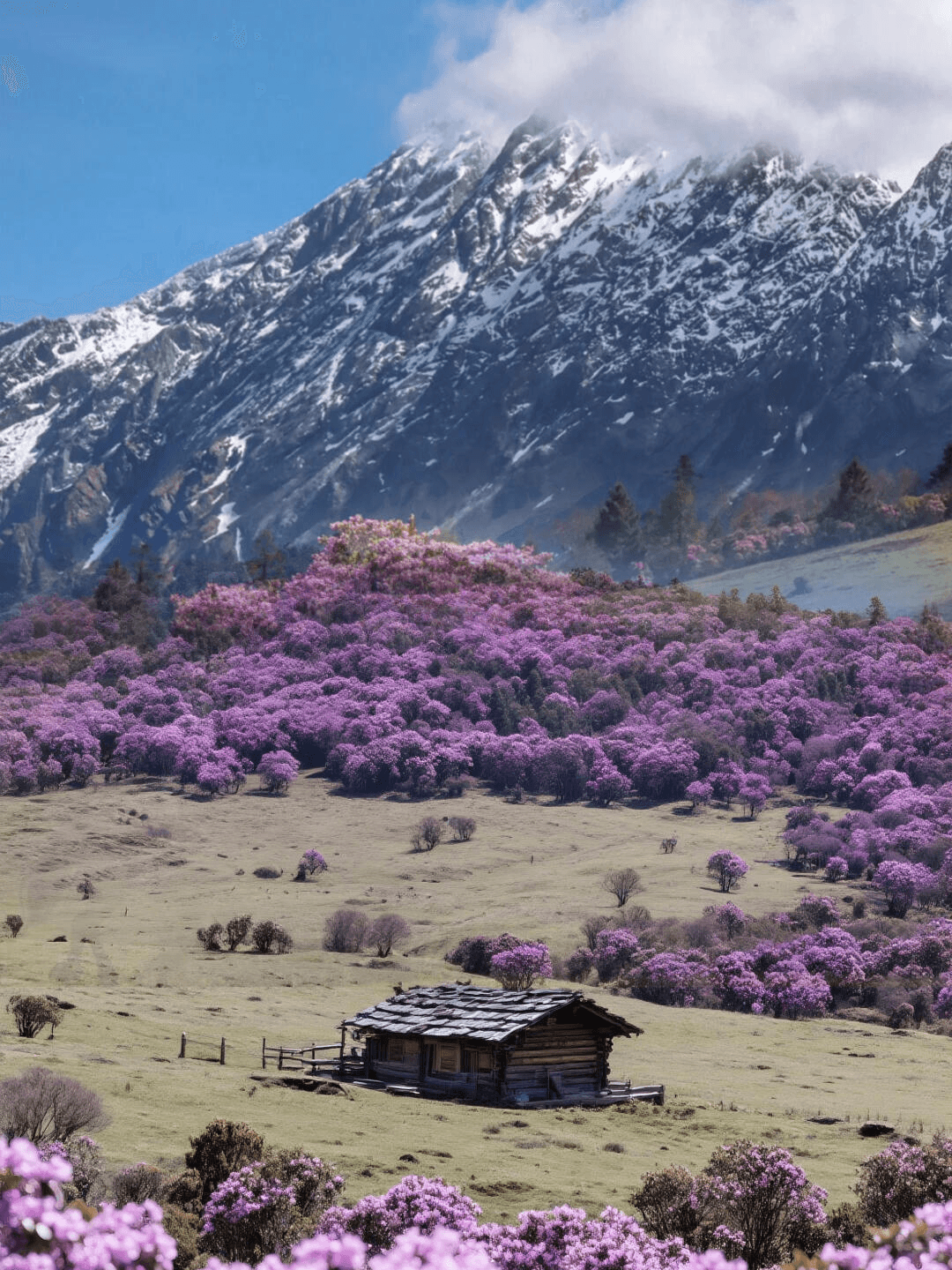Laoyaoshan Mountain Hiking Day Trip