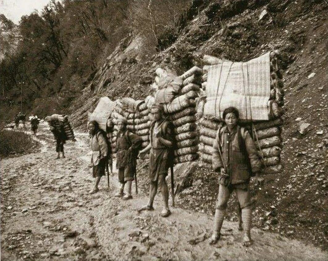 Ancient Tea Horse Road — caravan porters carrying loads along a mountain path