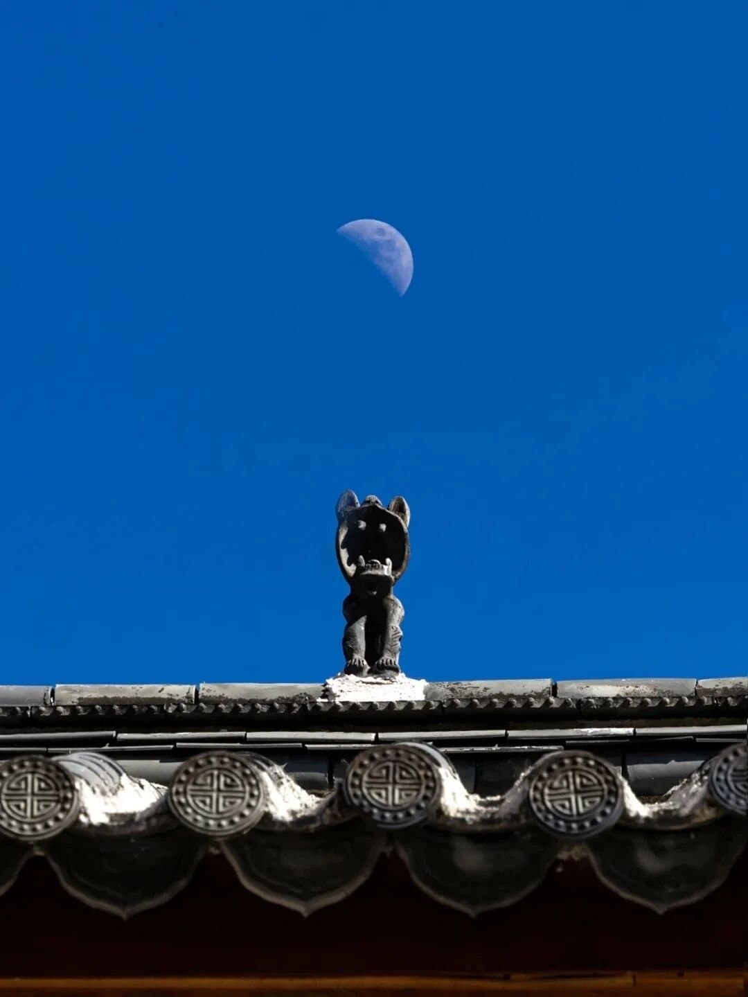 Tile Cats — a tile cat silhouetted beneath the moon