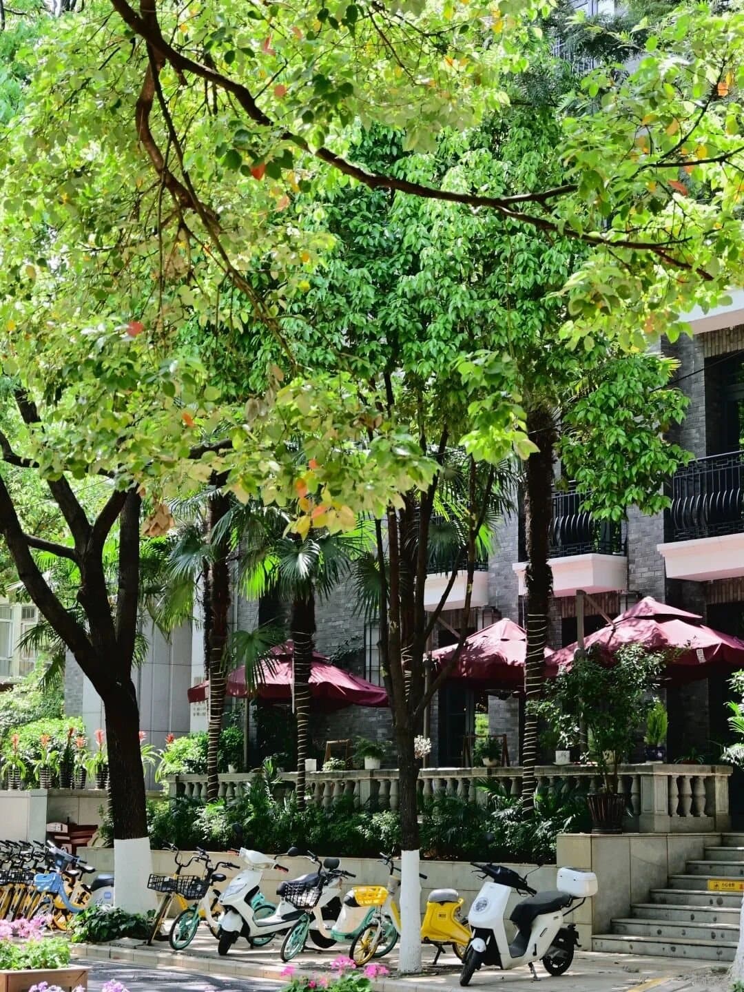 Green Lake Kunming — a shaded park path near the lake