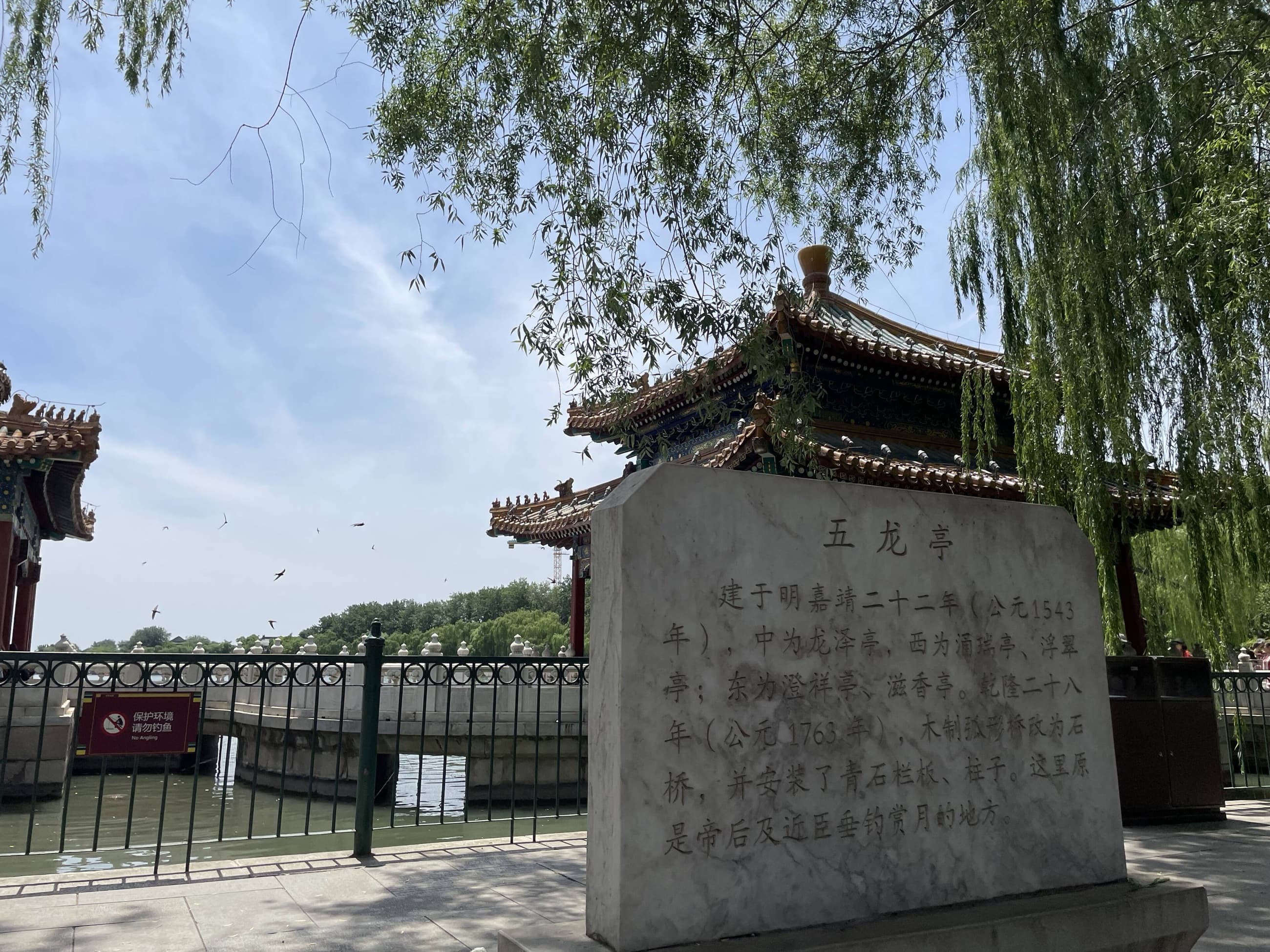 The Birds That Leave Beijing for Africa