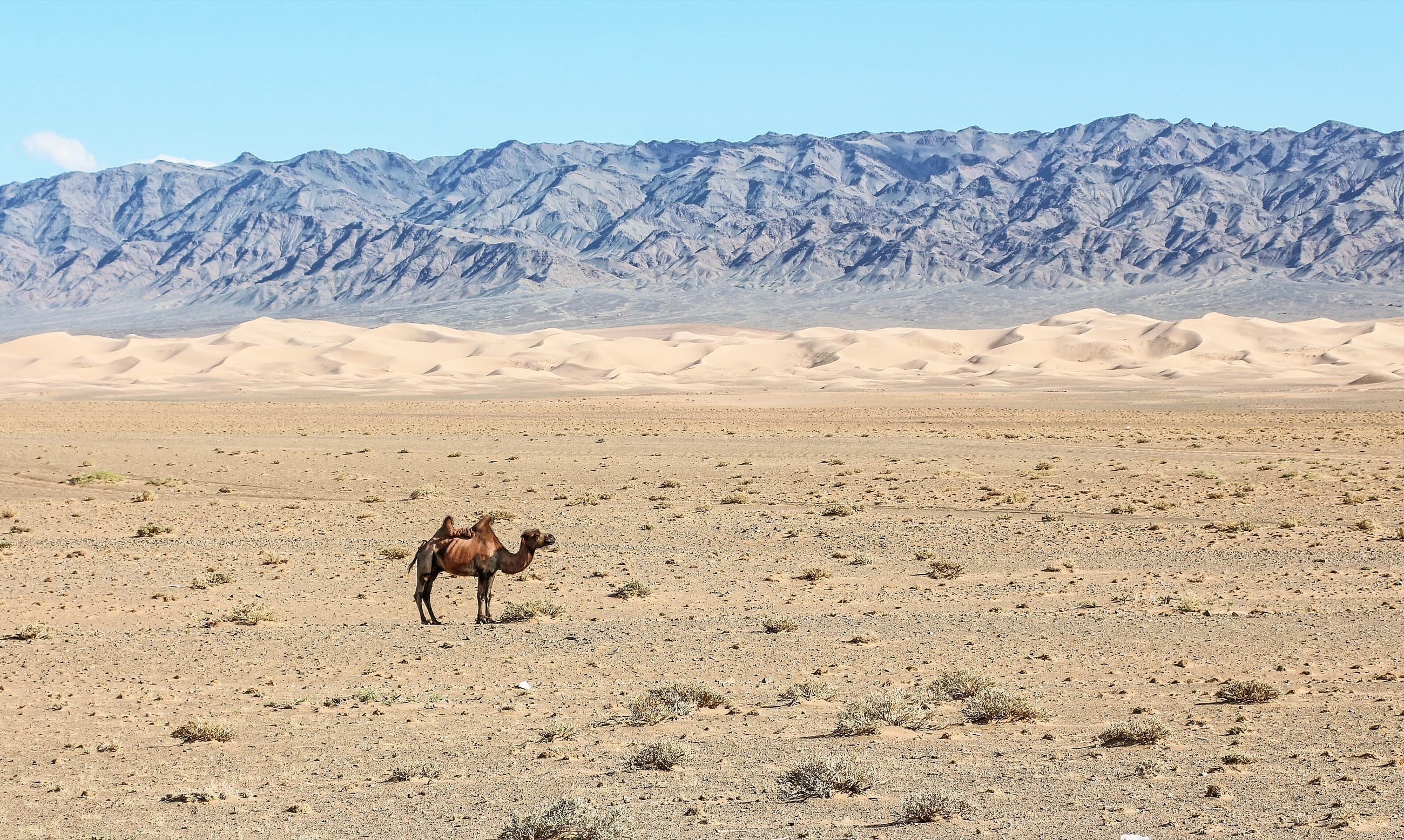 Mongolian landscape used illustratively