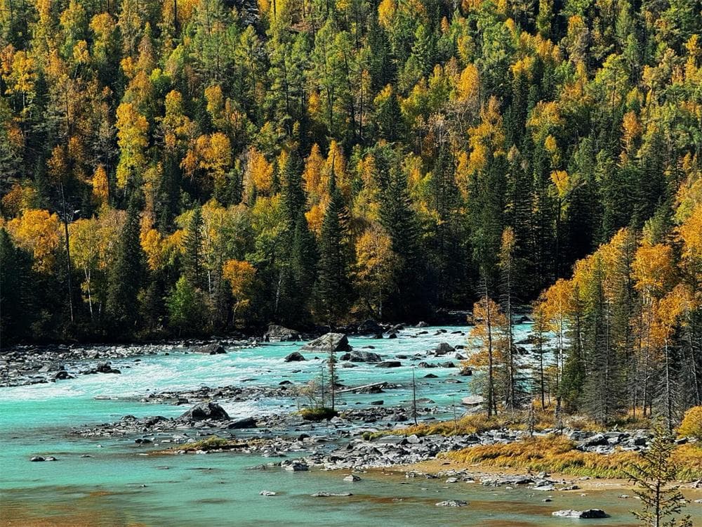 Kanas: Trekking the Wild Altai Landscapes (Level 2.5/5)