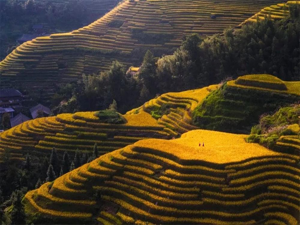 Longji Terraces