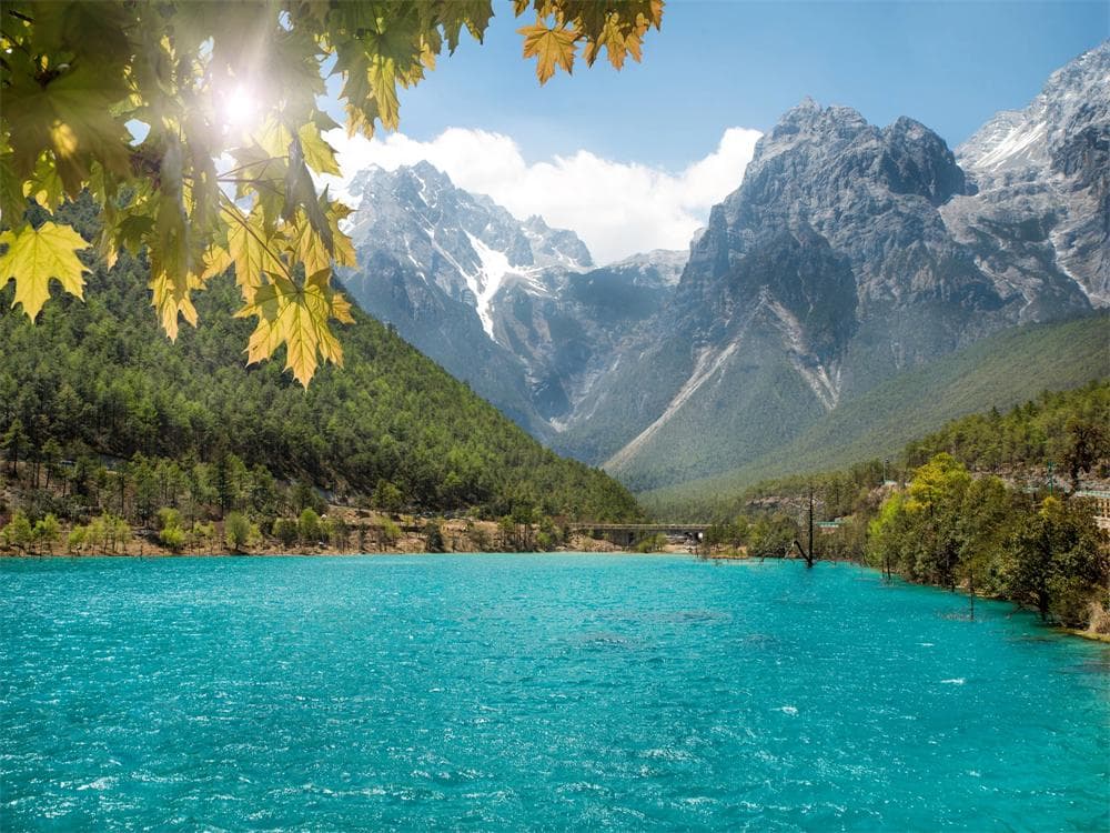 Blue Moon Valley