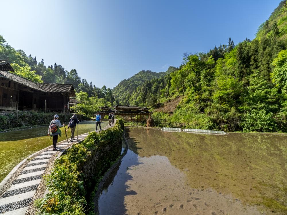 Chenjiaxi