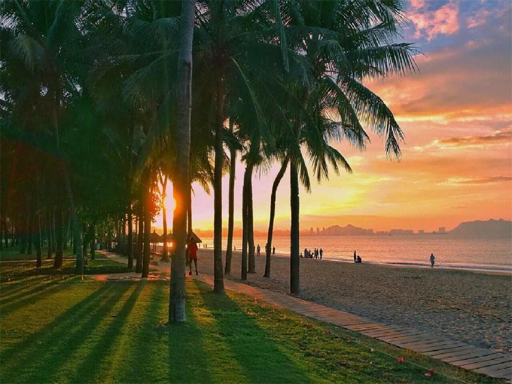 Coconut Dream Corridor