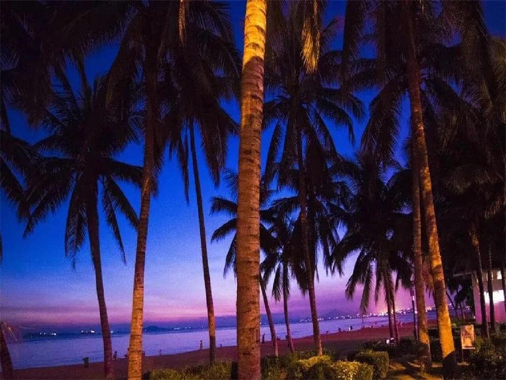 Coconut Dream Corridor at Night