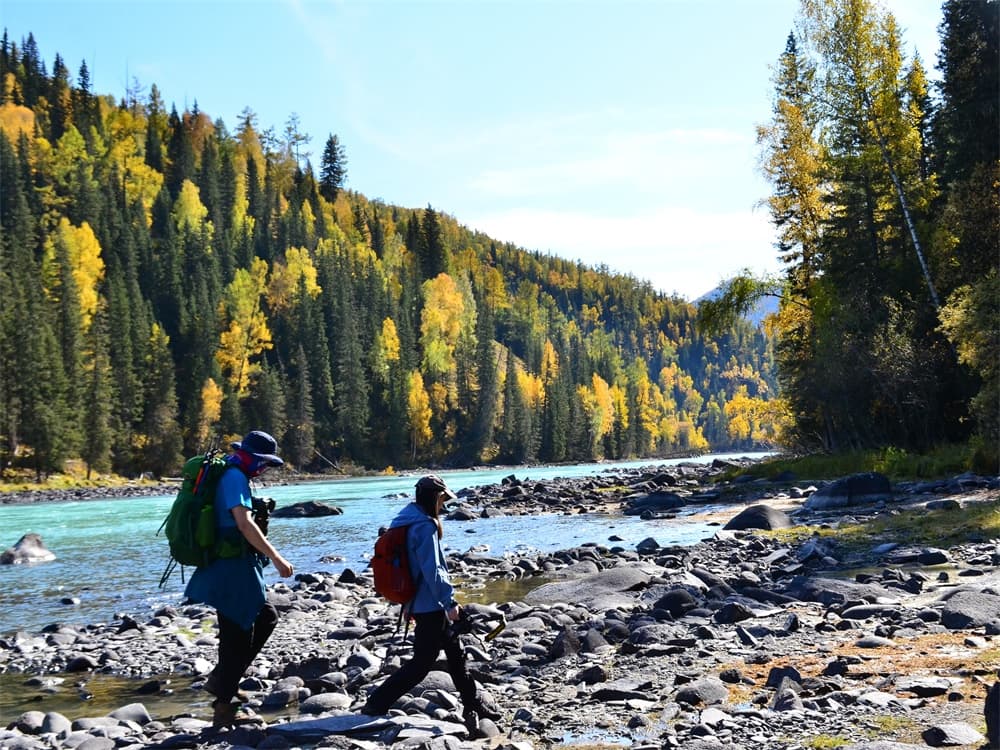 Kanas Forest Trail