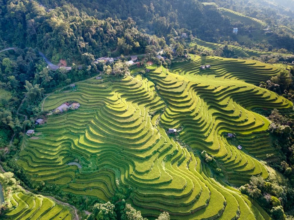 Longji Terraces