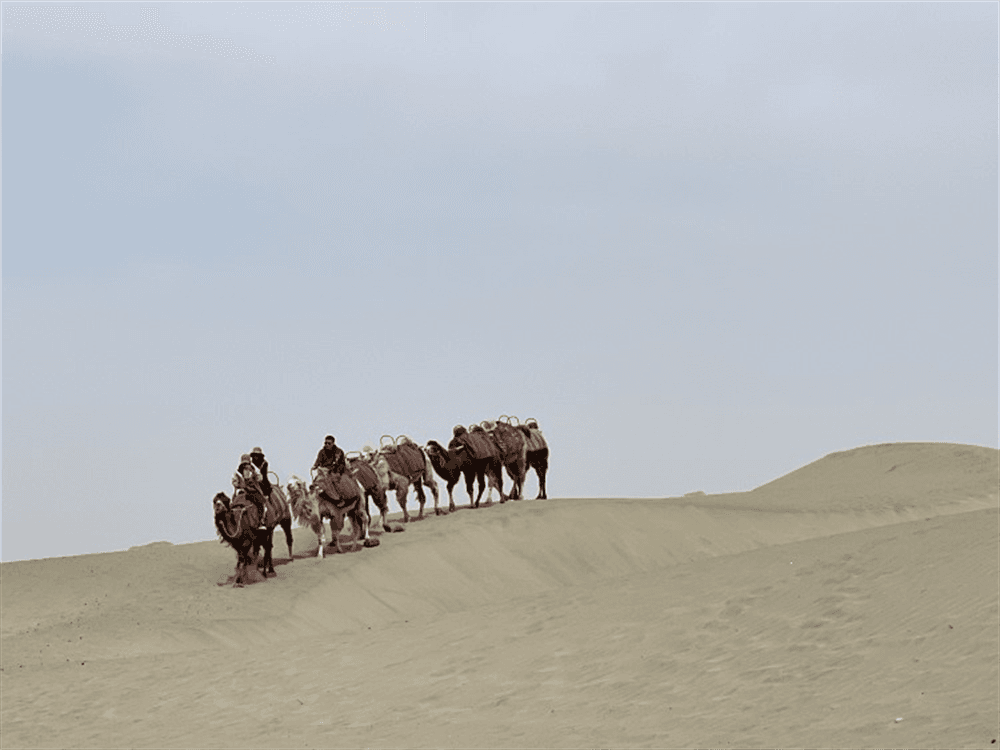 Makit N39 Desert