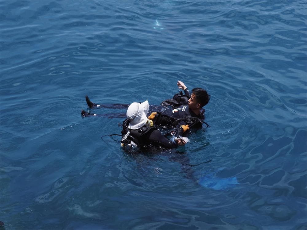 Marine Activities at West Island