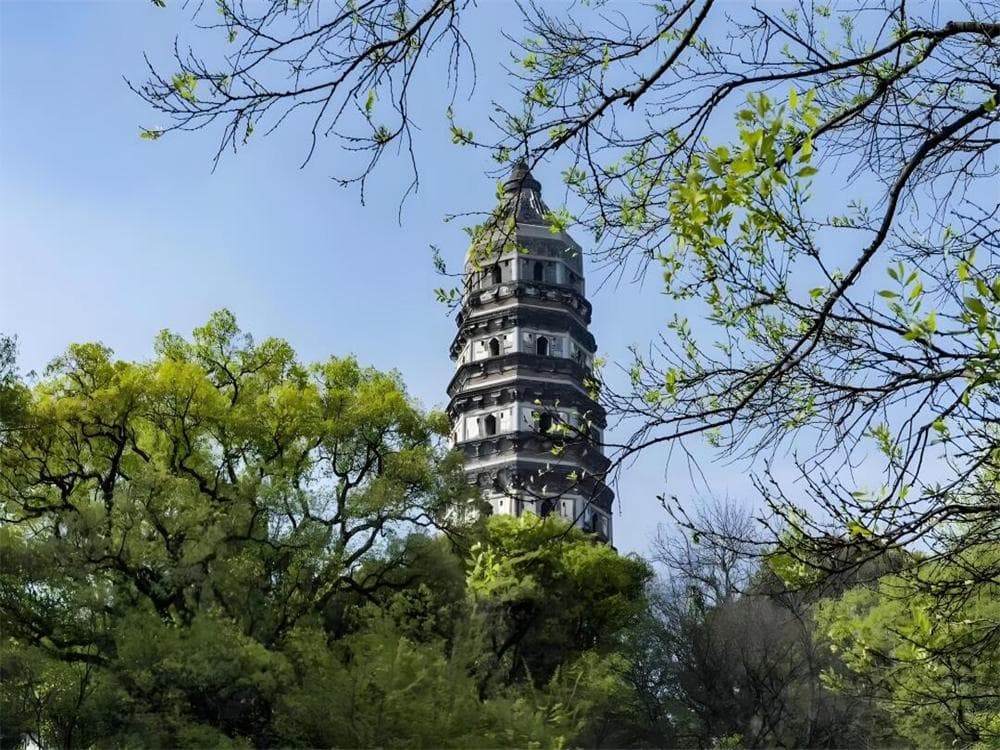 Tiger Hill