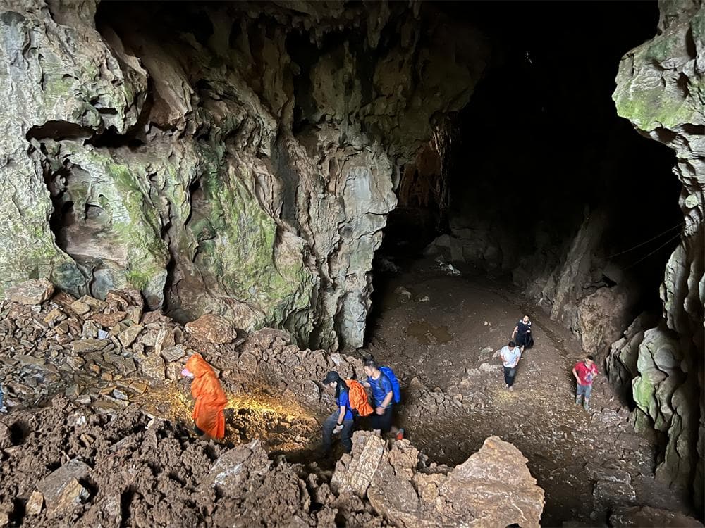 Wild Cave