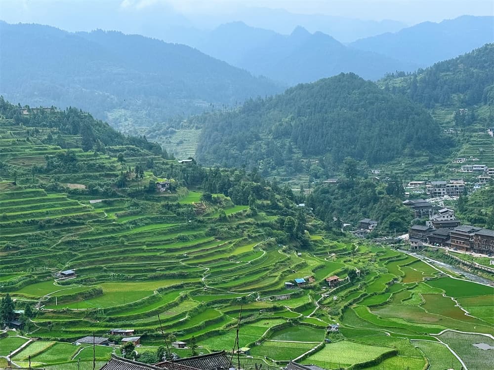 Xijiang Terraced Fields