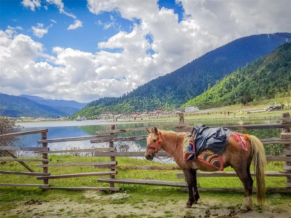 Xinjiang