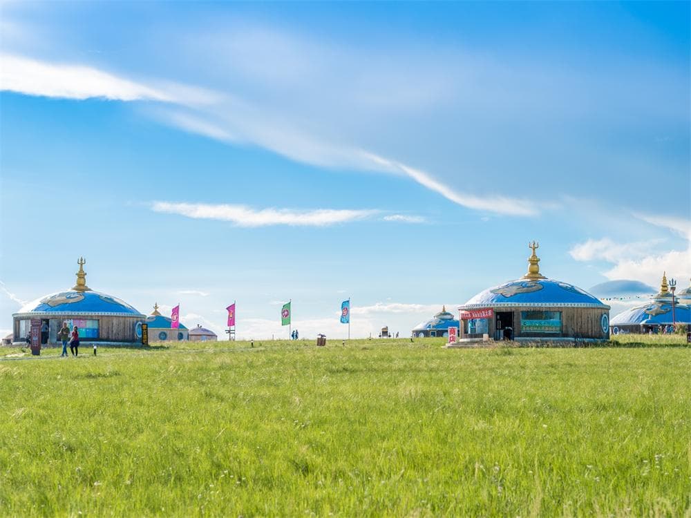 Mongolian Yurt Stay