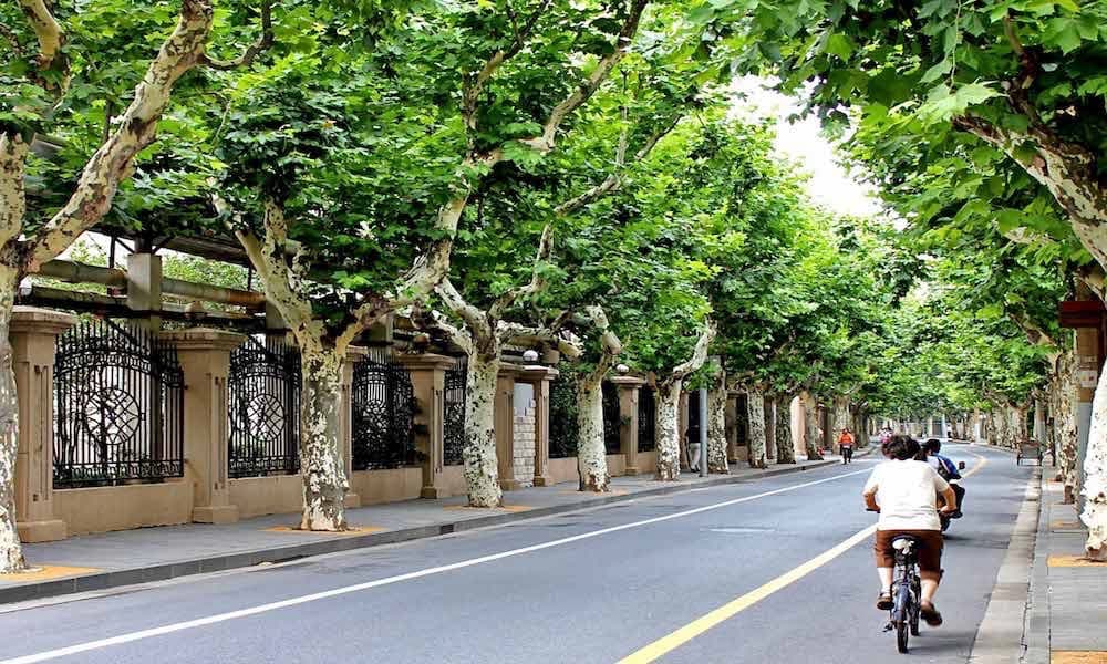 Former French Concession in Shanghai