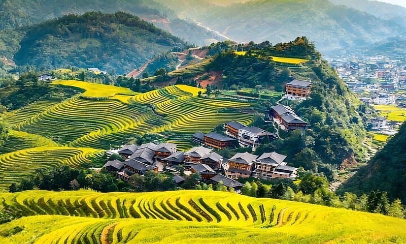 Longji Rice Terraces