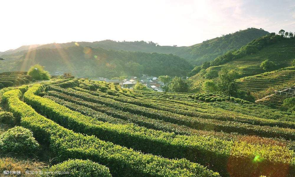 Meijiawu Tea Village