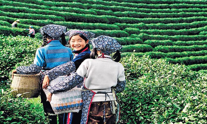 Meijiawu Tea Village