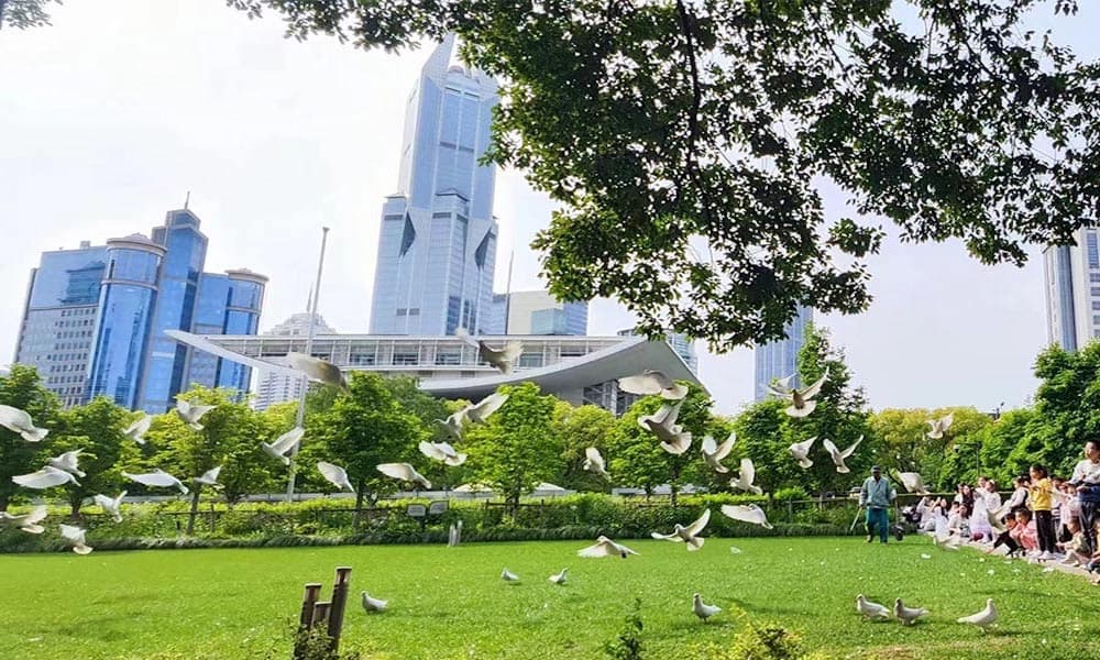 People’s Square