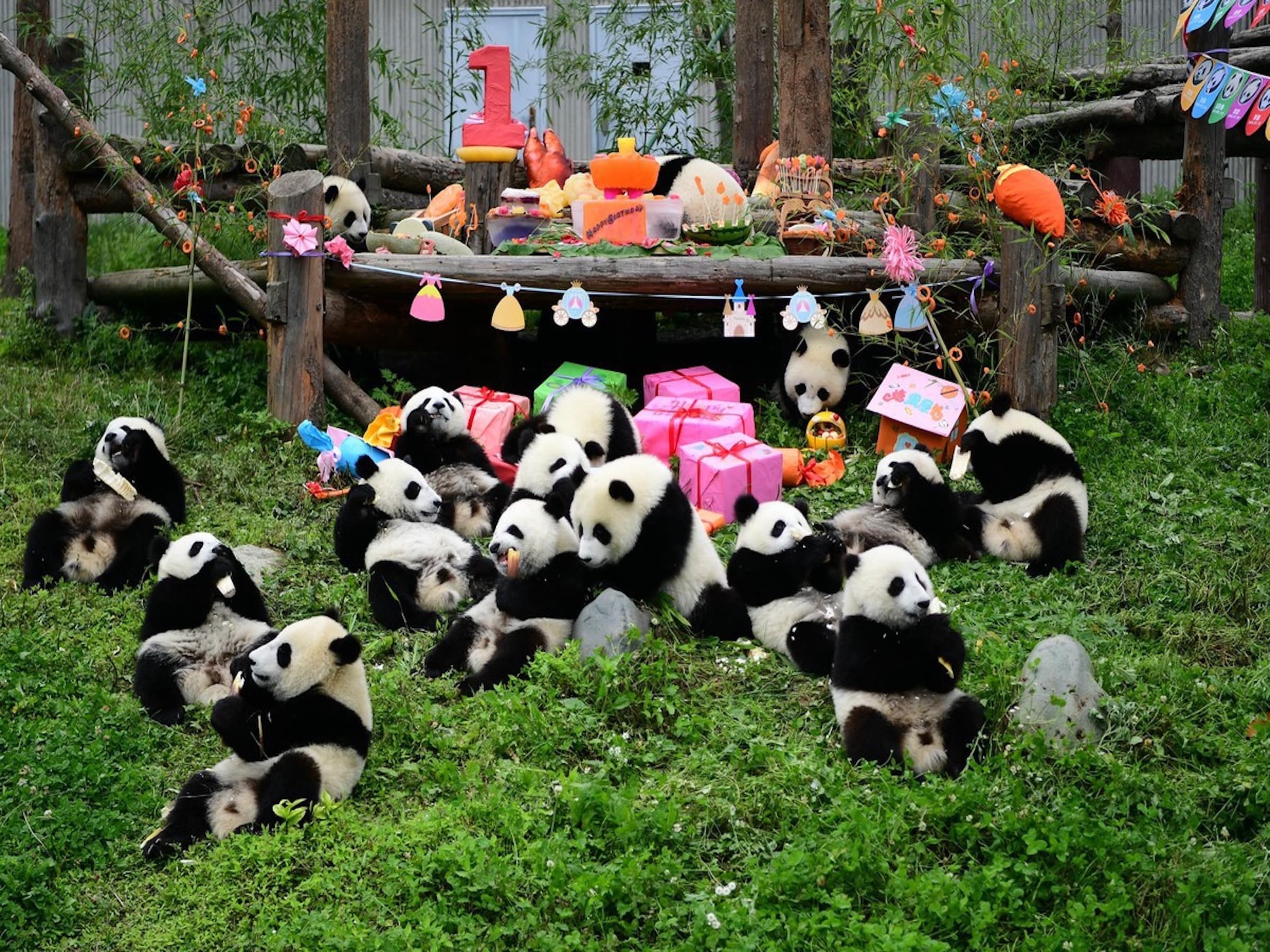 Chengdu Panda Base