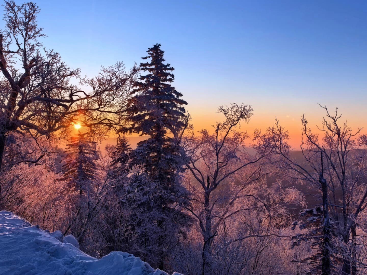 Ice and Snow Gallery